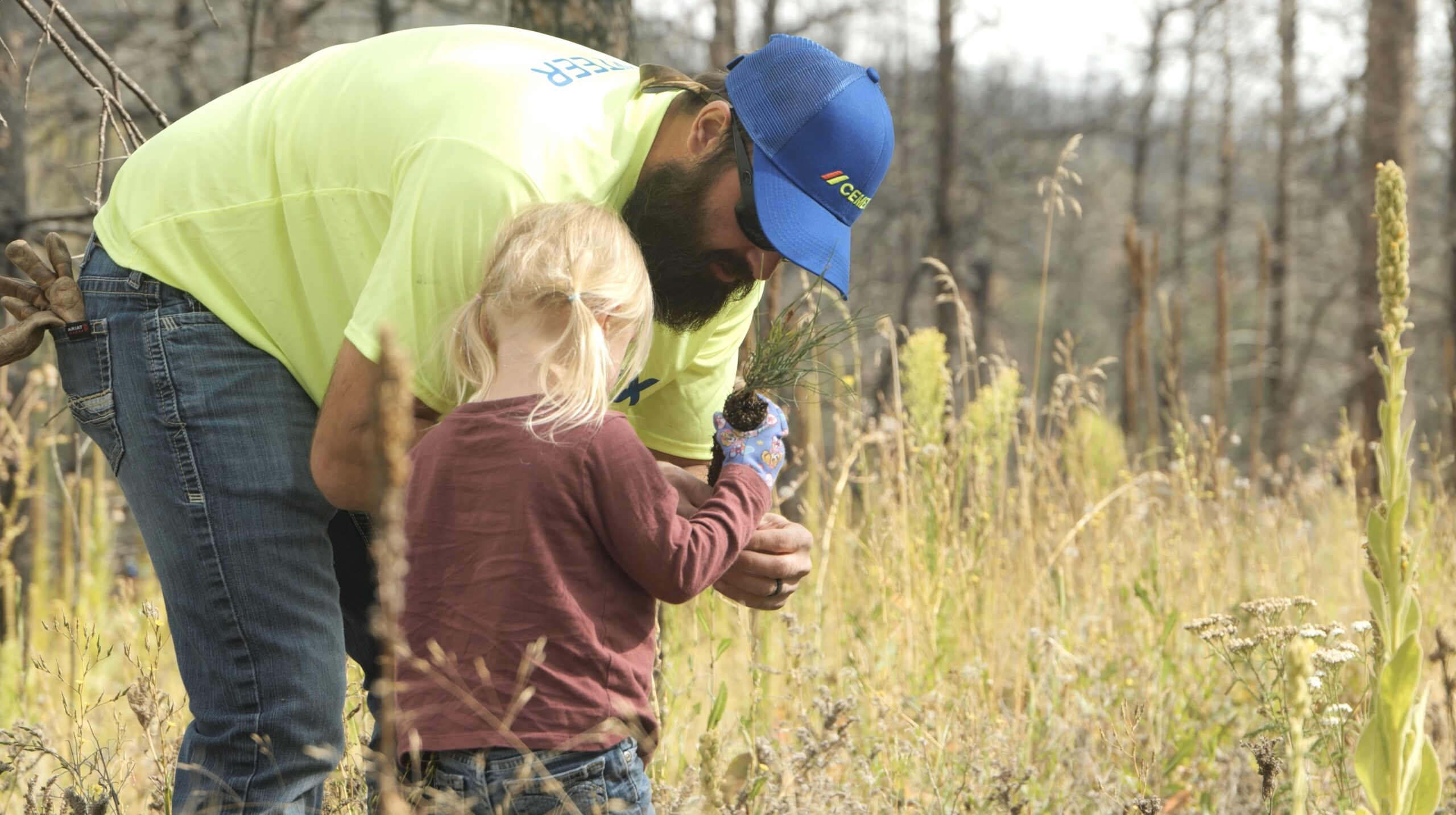 Cemex — Cemex & One Tree Planted